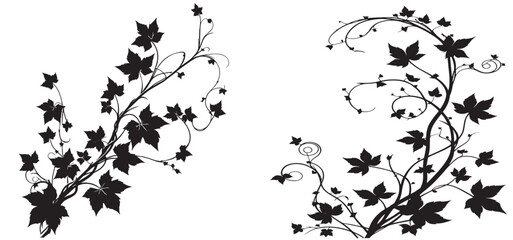 plant with leaves and vines vector, silhouette leaves and vines 