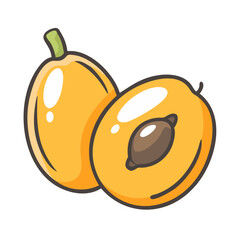 loquat fruit icon, loquat fruit vector illustration-simple illustration of loquat fruit, perfect for loquat fruit logos and icons