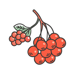 mountain ash berries icon, mountain ash berries vector illustration-simple illustration of mountain ash berries, perfect for mountain ash berries logos and icons
