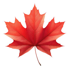 Autumn leaves falling nature scene red maple leaf forest background close-up
