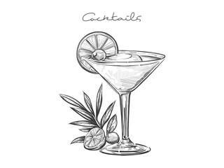 Hand drawn cocktail Illustration with сitrus garnish. Sketch of cocktail in glassware, garnished with fruit slices, mint