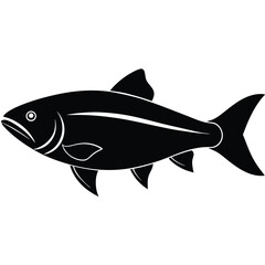 fish isolated on white background