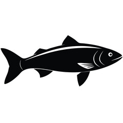 fish on white background