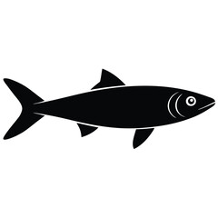 fish isolated on white background