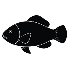 vector illustration of a fish