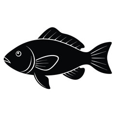 fish on a white background