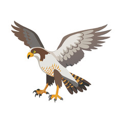 "Majestic Falcon Bird Illustration in Vector Design on Isolated White Background"