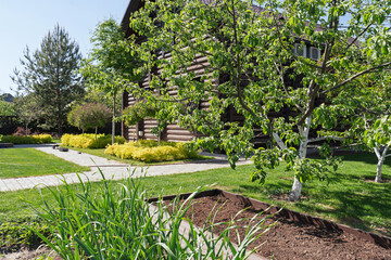 Well-maintained garden with fruit trees, green lawn, and decorative plants in front of a wooden country house. 