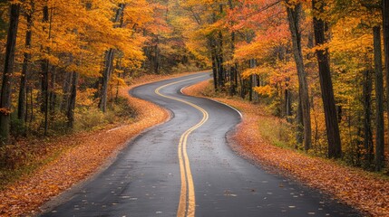 Fototapeta premium Autumn forest road