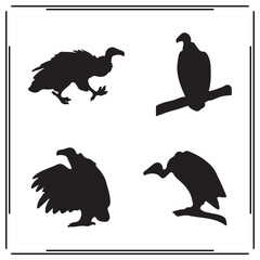 Vulture silhouette, Vulture illustration , Vulture clipart, Vulture vector , Vulture icon , black Vulture , Vulture illustration on white background,