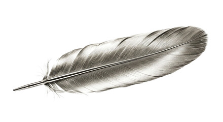 A single silver feather isolated on a black background with detailed texture and light reflections