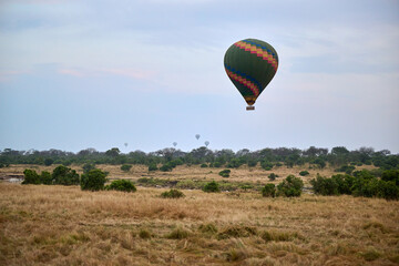 Naklejka premium hot air balloon