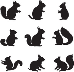 Squirrel set silhouette on white background 