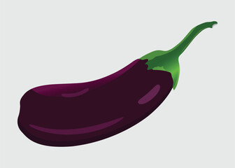 Purple natural Eggplant Drawing 