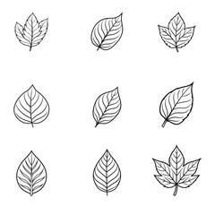 "Set of Hand-Drawn Leaf Outlines – Nature sillhouette Vector Illustrations"