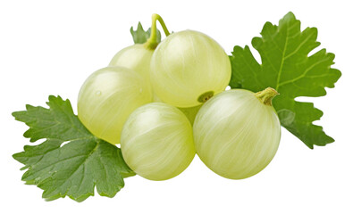 PNG Gooseberry grapes fruit plant.