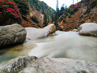 A long exposure nature scene, with beautiful silky waterfalls dropping into an emerald green pool, surrounded by blooming Rhododendron trees and rocks.