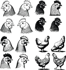 Chicken Hen Silhouettes for Vector Art and Poultry Graphics Hen Silhouette Set for Farm Animal and Logo Design