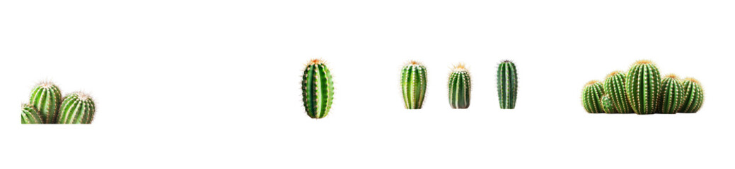Naklejka premium Varied green cacti with unique patterns on clear background