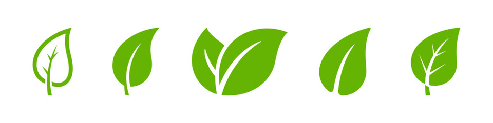 Green leaf icons set. Leaves collection. Natural, eco, vegan, bio labels.