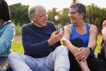 Happy elderly friends having fun together during picnic at city park - Multiracial senior people...