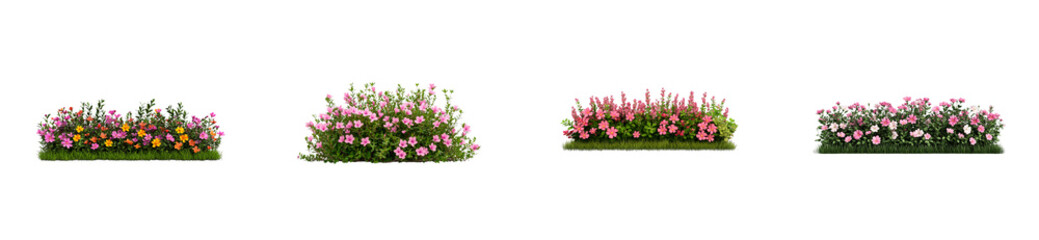 Flowerbed composition of diverse plants, cut out transparent