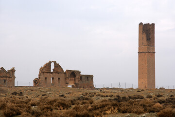 There is a 12th century madrasa in the old ruins in Harran, Turkey. It is recognized as the oldest...