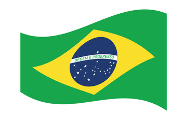 Brazil national flag graphic Vector