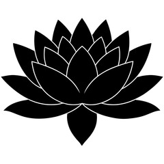 water lily silhouette vector illustration