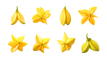 Pack Star Fruit Set in Different Poses on Transparent Background for Food, Tropical, and Healthy-Themed Designs