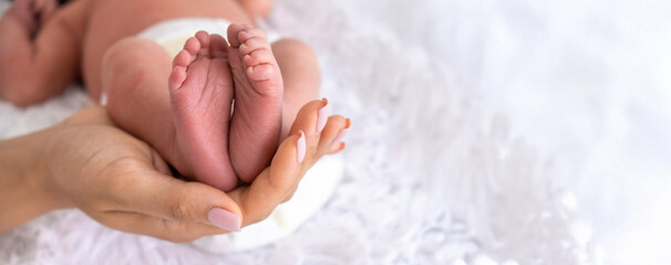 baby feet in mother's hands. mother and baby.
