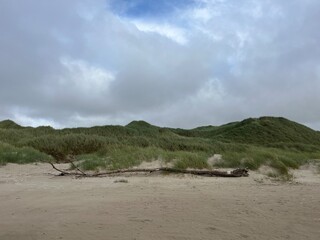 view of the beach in the morning