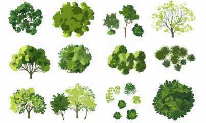 Top View Green Tree Vector Set for Landscape Planning and Architecture Design
