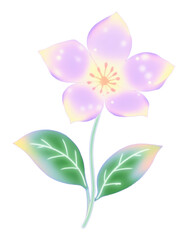 Naklejka premium PNG Aesthetic flower illustration design floral.