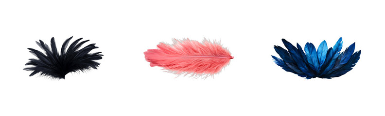 Feather set: black, pink, blue, lightweight, colorful, decoration, bright, cut out transparent