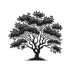 Hawthorn Tree Silhouette - Tree Vector - Hawthorn Tree Illustration - Hawthorn Tree Art.