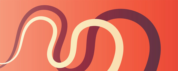 Abstract gradient wave bold line web background. Abstract gradient multicolored wavy stripes background. Gradient colorful curve lines shape backdrop for brochure, cover, poster, banner, web header