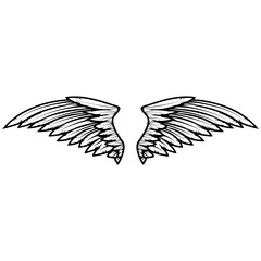 vintage vector wings isolated on white background. Design