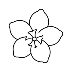 apple blossom flower line art vector illustration