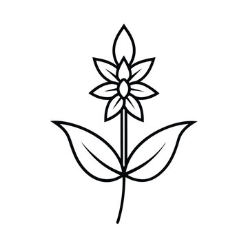 recommend clip art: anise hyssop flower line art vector illustration