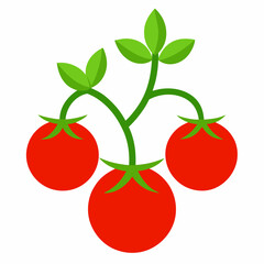 Vector art illustration of tomatoes on a vine