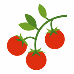 Vector art illustration of tomatoes on a vine