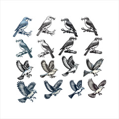 Obraz premium Mountain Bluebird Feeding on Insect – Nature in Action