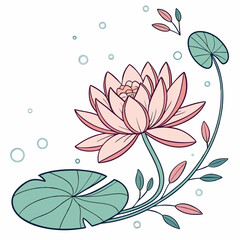 lotus illustration vector