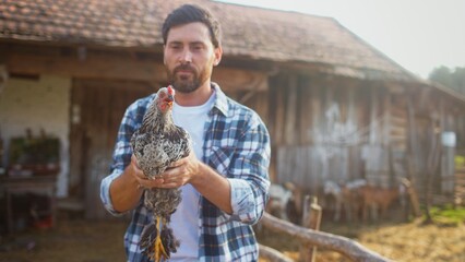 Grown Caucasian male with beard playing with chicken. Holding animal with both hands and moving in...