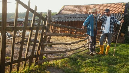 Old Caucasian farmer with grey beard leaning on goat pen fence. Talking with his adult son. Man...