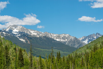 Majestic mountains with forest foreground in Vancouver, Canada, North America. Day time on June 2024.