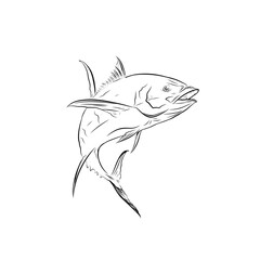 yellowfin tuna fish sketch illustration on white background