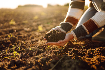 Close-up of a female farmer pouring fertile soil, checking the quality in an agricultural field. Hands of a young agronomist touching black soil, working at sunset. Gardening concept, quality.