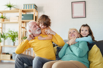 Cheerful Caucasian Grandparents Enjoying Quality Time with Grandchildren in a Bright and...